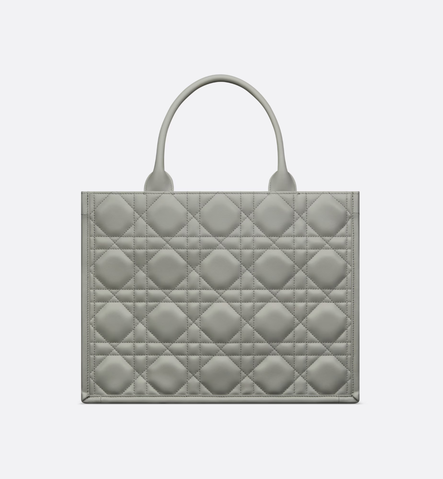 Medium Dior Book Tote